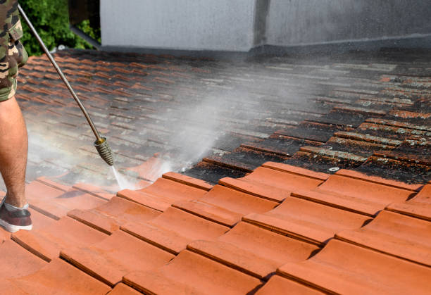 Best Commercial Pressure Washing  in Wayne, IL