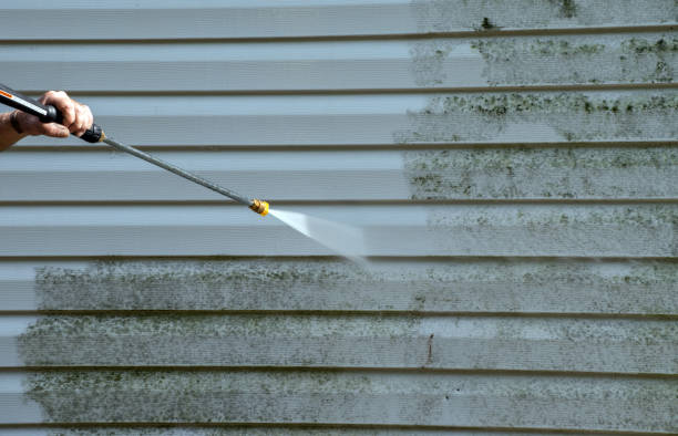 Best Deck Pressure Washing  in Wayne, IL