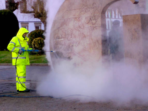 Best Exterior Home Cleaning  in Wayne, IL