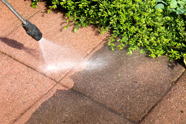Best Concrete Pressure Washing  in Wayne, IL